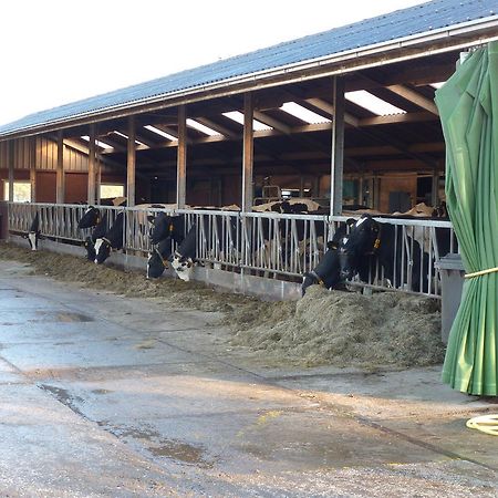 Boerderij "De Verwondering" Goudriaan Екстер'єр фото