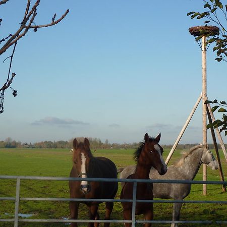 Boerderij "De Verwondering" Goudriaan Екстер'єр фото