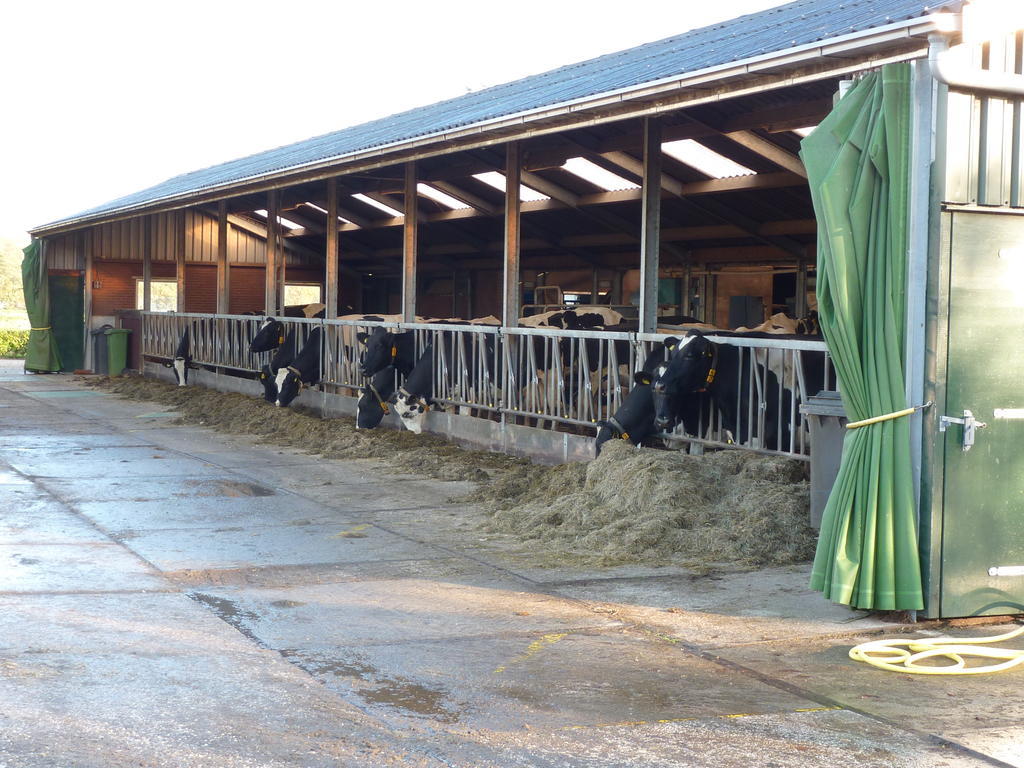 Boerderij "De Verwondering" Goudriaan Екстер'єр фото