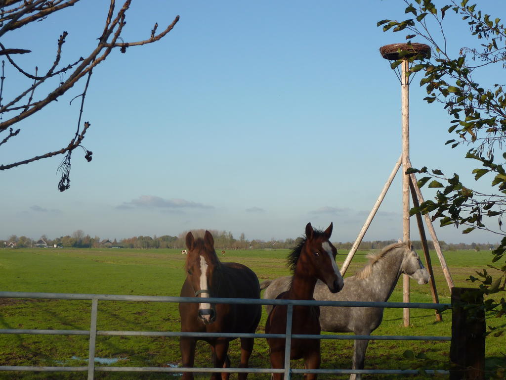 Boerderij "De Verwondering" Goudriaan Екстер'єр фото