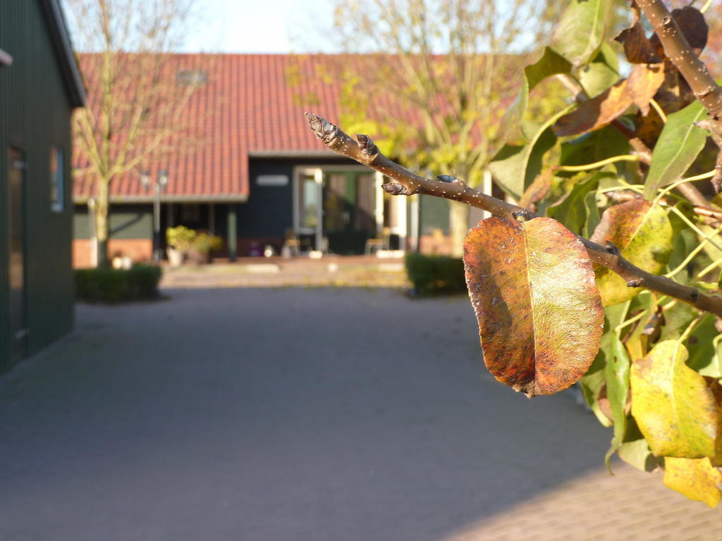 Boerderij "De Verwondering" Goudriaan Екстер'єр фото