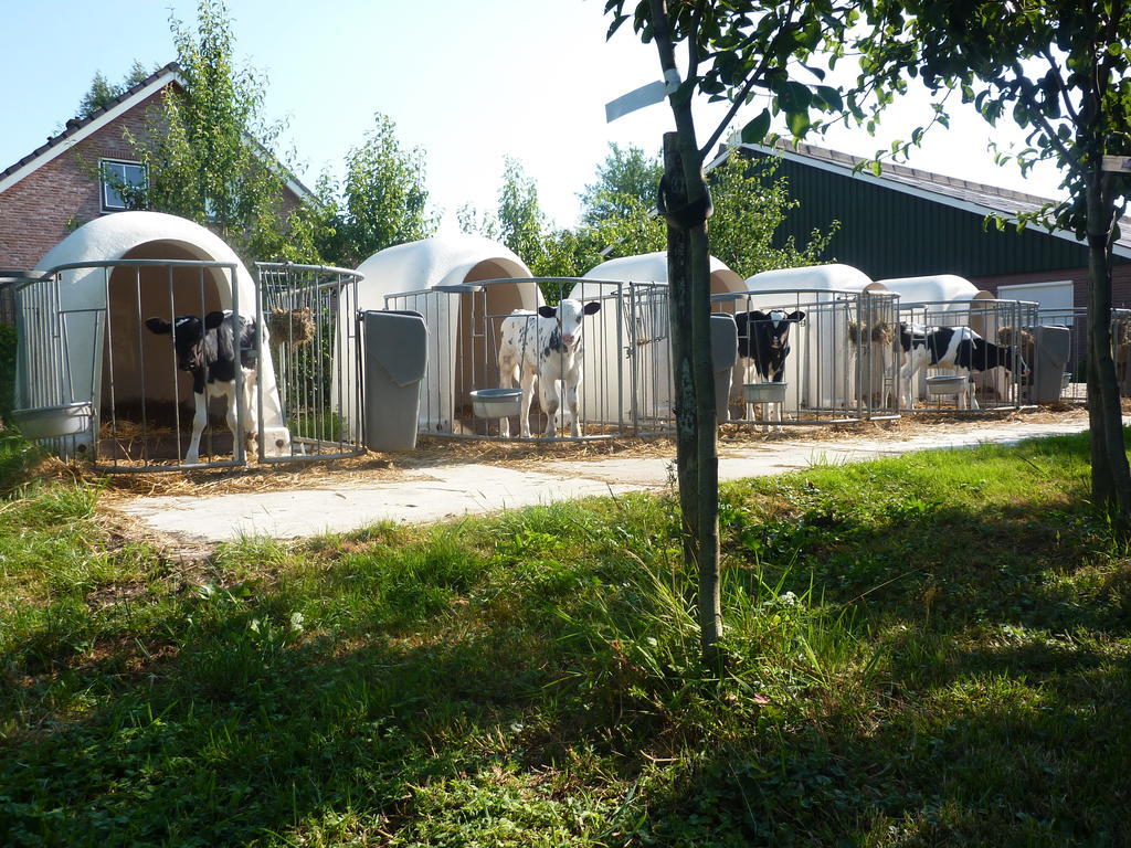 Boerderij "De Verwondering" Goudriaan Екстер'єр фото