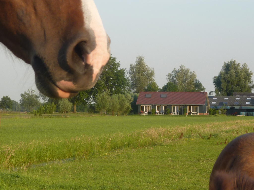 Boerderij "De Verwondering" Goudriaan Екстер'єр фото